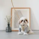 レザーハーネス　SMALL