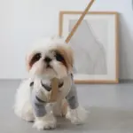 レザーハーネス　SMALL