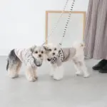 ボーダーハーネス