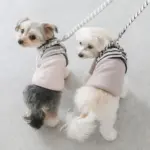 ボーダーハーネス