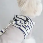 ボーダーハーネス