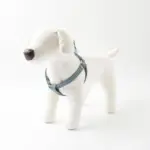 シュリンクレザーハーネス