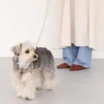 シュリンクレザーハーネス