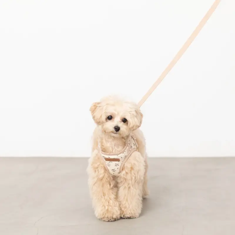 ナチュラルフラワーハーネス＋リードSET【名入れ刺繍対応】【旧モデル】