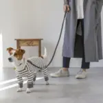 サークルチャームレザーカラー MEDIUM