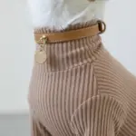 サークルチャームレザーカラー MEDIUM