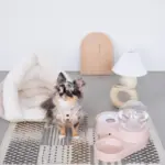 自動給水ペットフードボウル