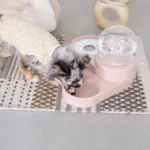 自動給水ペットフードボウル