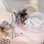 自動給水ペットフードボウル