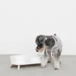 ダイニングテーブルダブルフードボウル