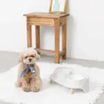 ダイニングテーブルダブルフードボウル