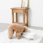 ダイニングテーブルダブルフードボウル