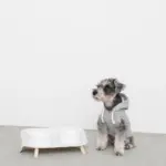 ダイニングテーブルダブルフードボウル