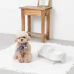 ダイニングテーブルダブルフードボウル