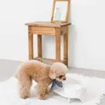 ダイニングテーブルダブルフードボウル