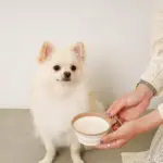 折りたたみバイカラーフードボウル フック付