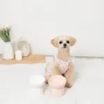 ダイアカットスマートハイスタンドボウル