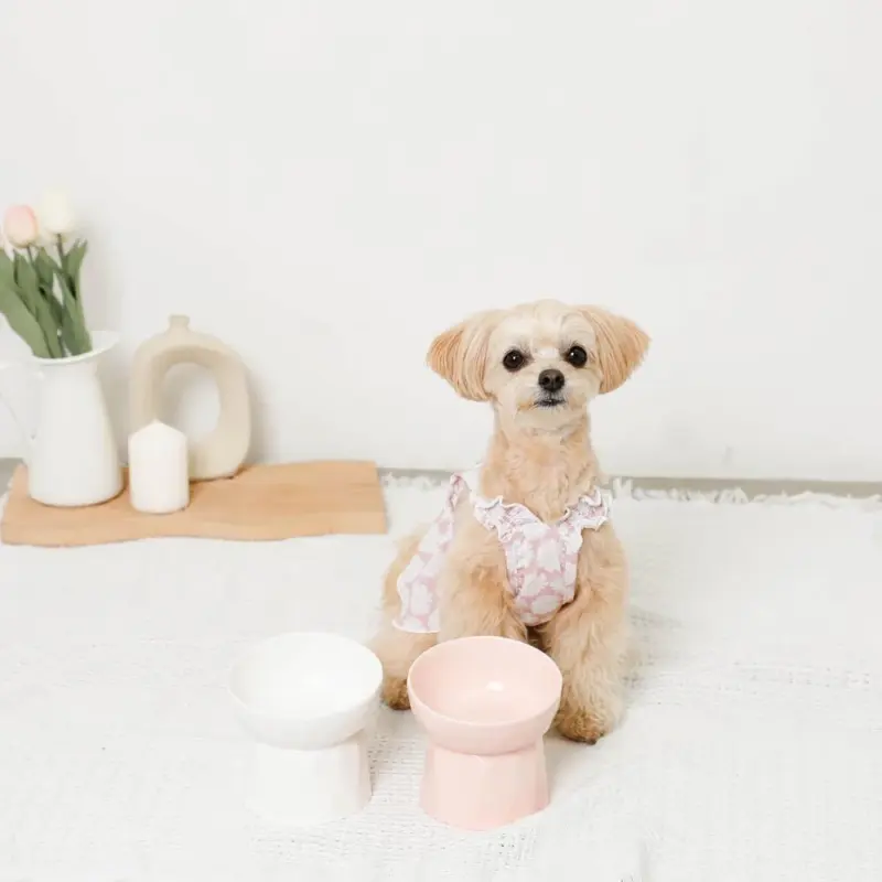 ダイアカットスマートハイスタンドボウル