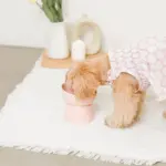 ダイアカットスマートハイスタンドボウル