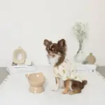 くまさんフードボウル