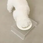 アクリルクリアベースフードボウル