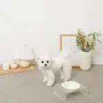 アクリルクリアベースフードボウル