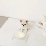 アクリルクリアベースフードボウル