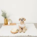 ウッドボールベースシングルフードボウル