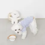 折りたたみぺたんこフードボウル フック付