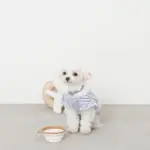 折りたたみぺたんこフードボウル フック付