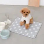 ロースタンドフードボウル