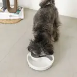 吸着シリコンフードボウル