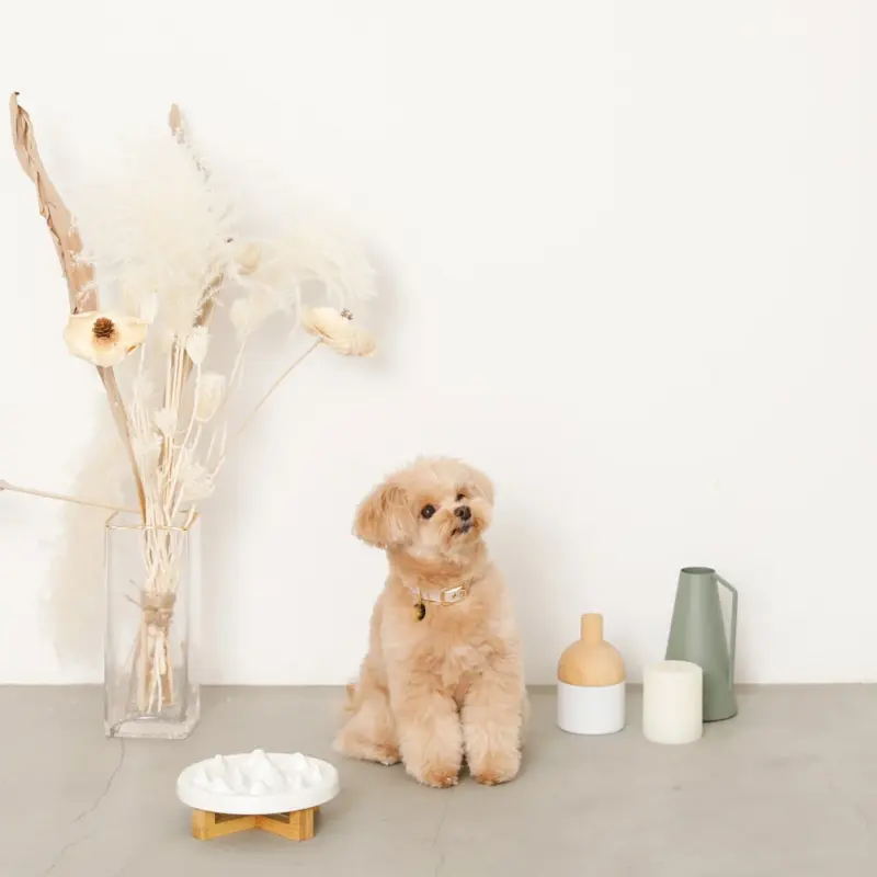 早食い防止ペットフードボウル