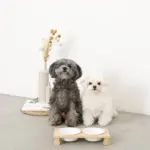 ウッドスタンドダブルフードボウル