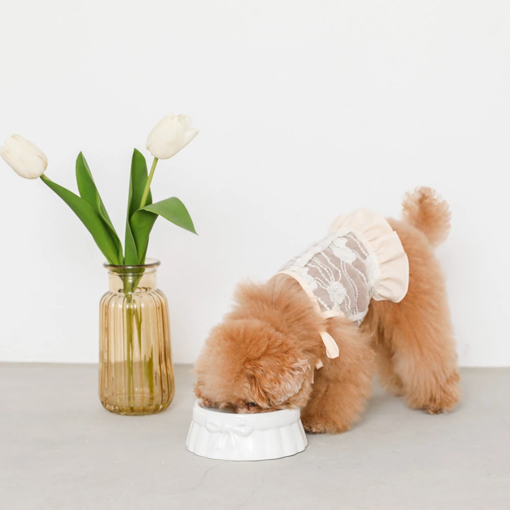 ハーネス 革 - leather dog harness market comparison 2025