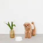 リボンファンシーフードボウル