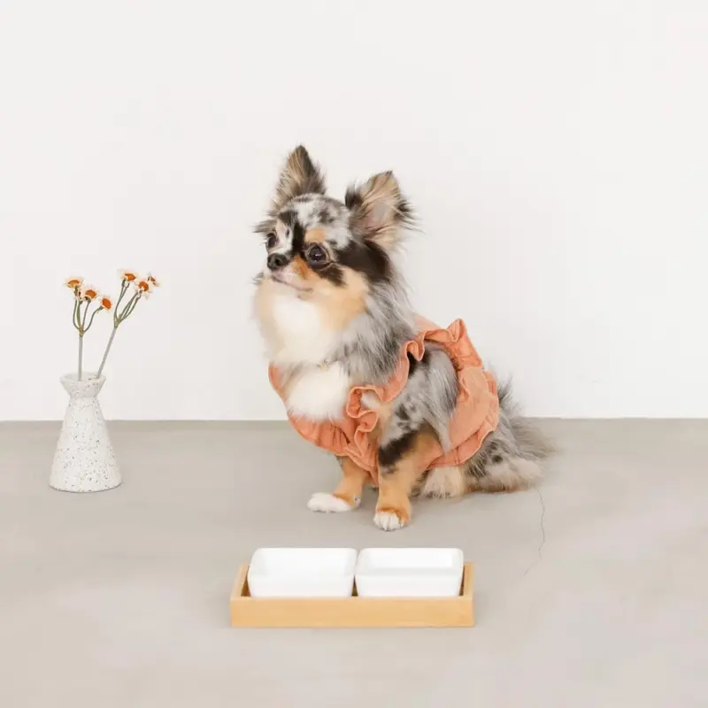 スクエアダブルフードボウル