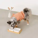 スクエアダブルフードボウル