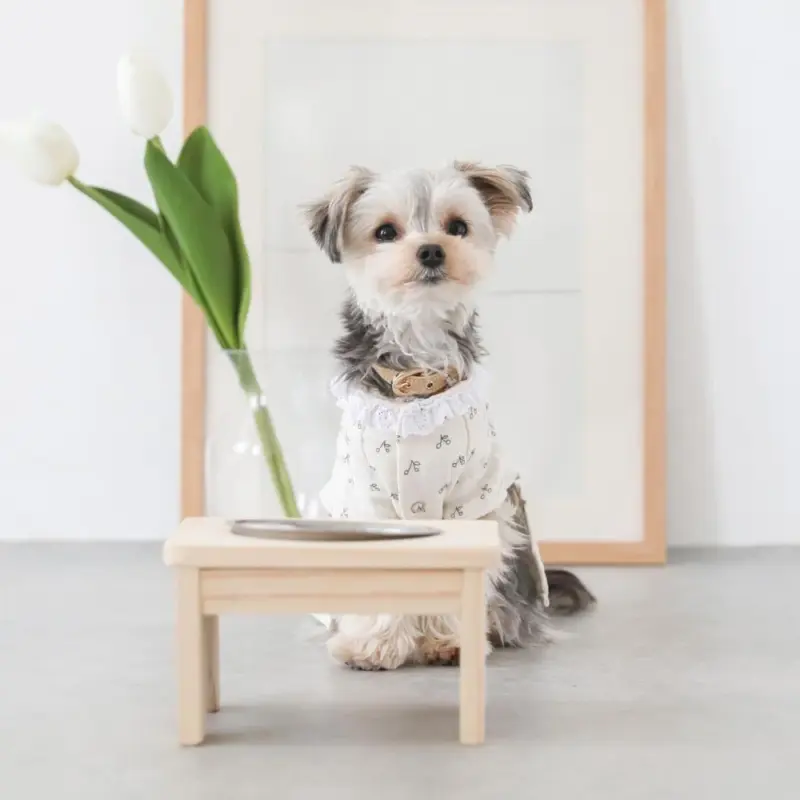 フードボウルスタンド(ウッド×ステンレス)