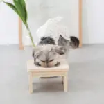 フードボウルスタンド(ウッド×ステンレス)