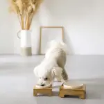 バンブーフードボウルスタンド MEDIUM