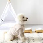 バンブーフードボウルスタンド SMALL