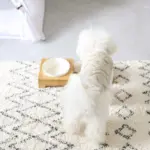 バンブーフードボウルスタンド SMALL