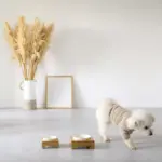 バンブーフードボウルスタンド SMALL