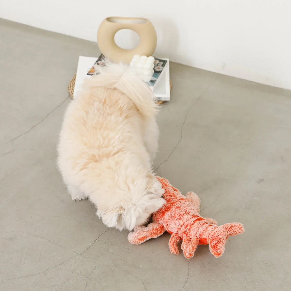 シリコン 水筒の使用方法を示すステップバイステップ画像