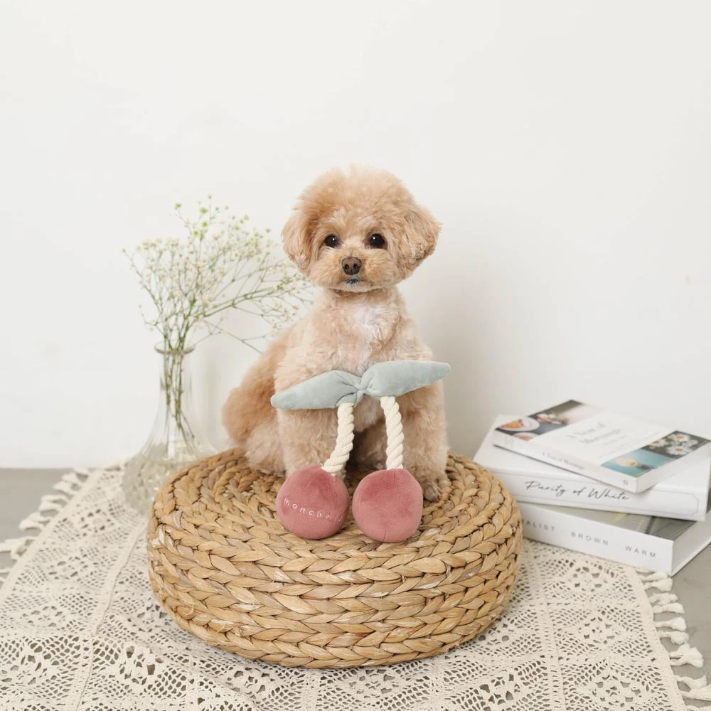 チワラ系小型犬チューリップ柄小型 犬 防寒 着