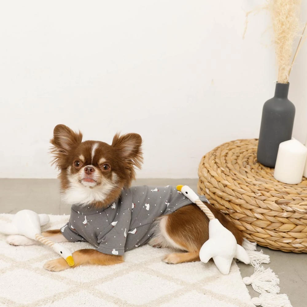 ハーネス リード セットの正しい装着手順