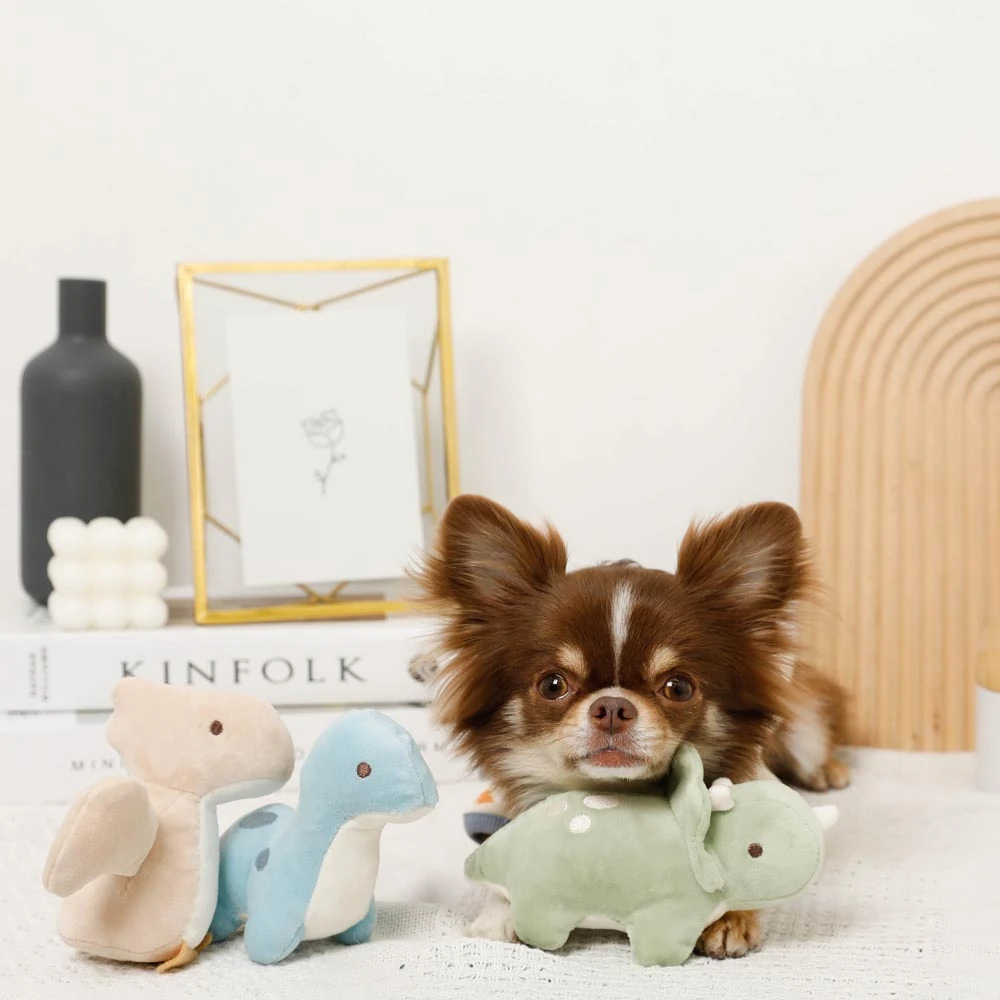 シリコン 水筒とペット用品のセット写真