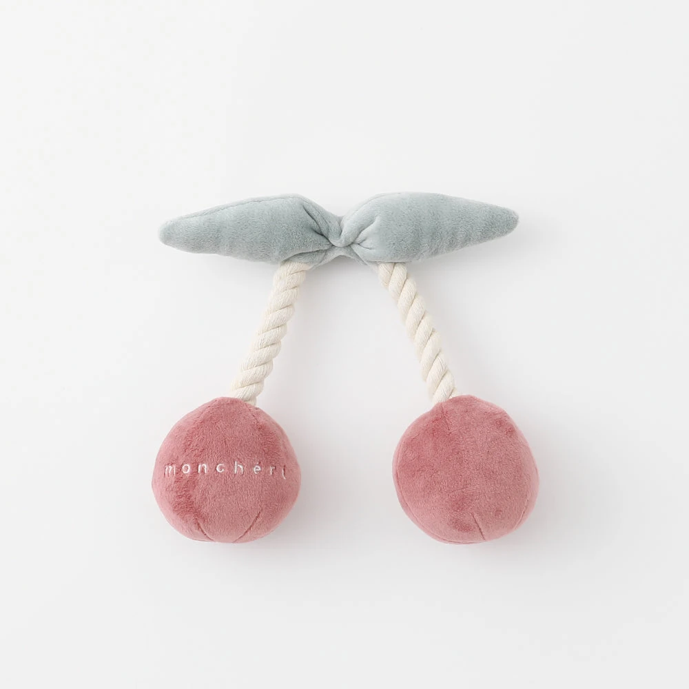 中型 犬 の 洋服 - 中型犬の洋服を着た柴犬とコーギーが並んで座っている