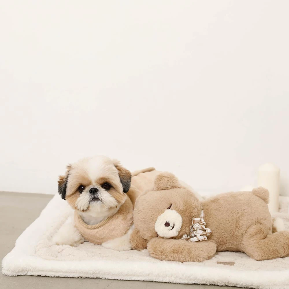 ウォーキング 服装 おしゃれ 2025年トレンドコレクション